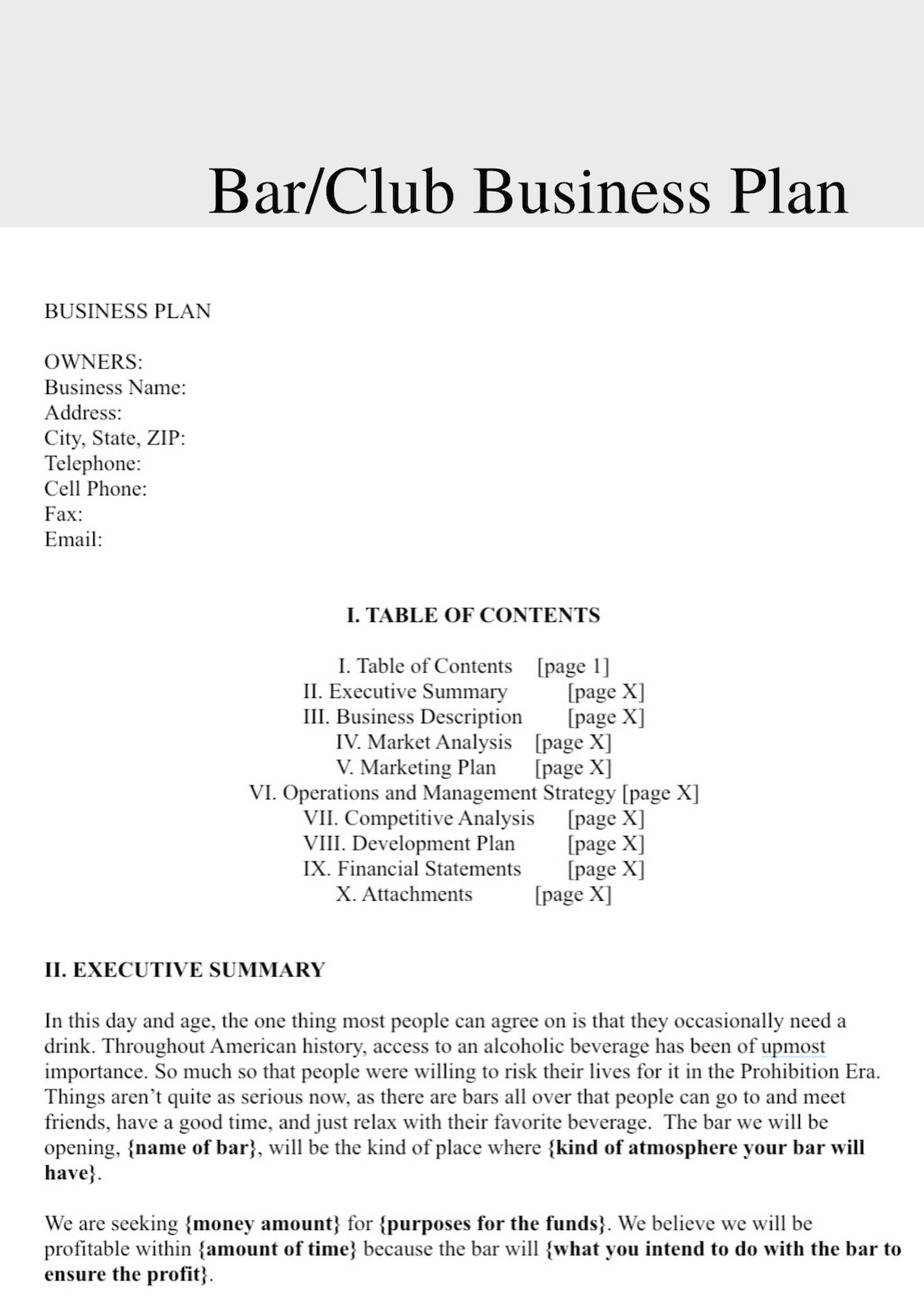 Bar Business Plan Business Plan Business Plan Etsy