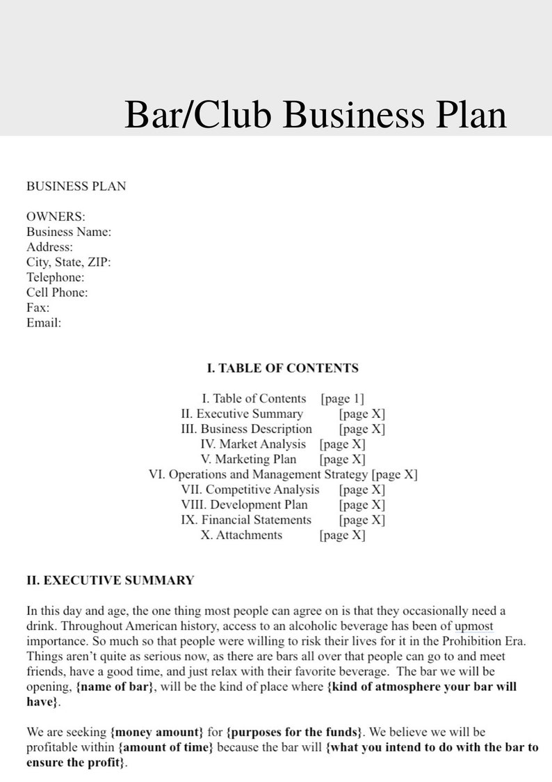Bar Business Plan Business Plan Business Plan Etsy