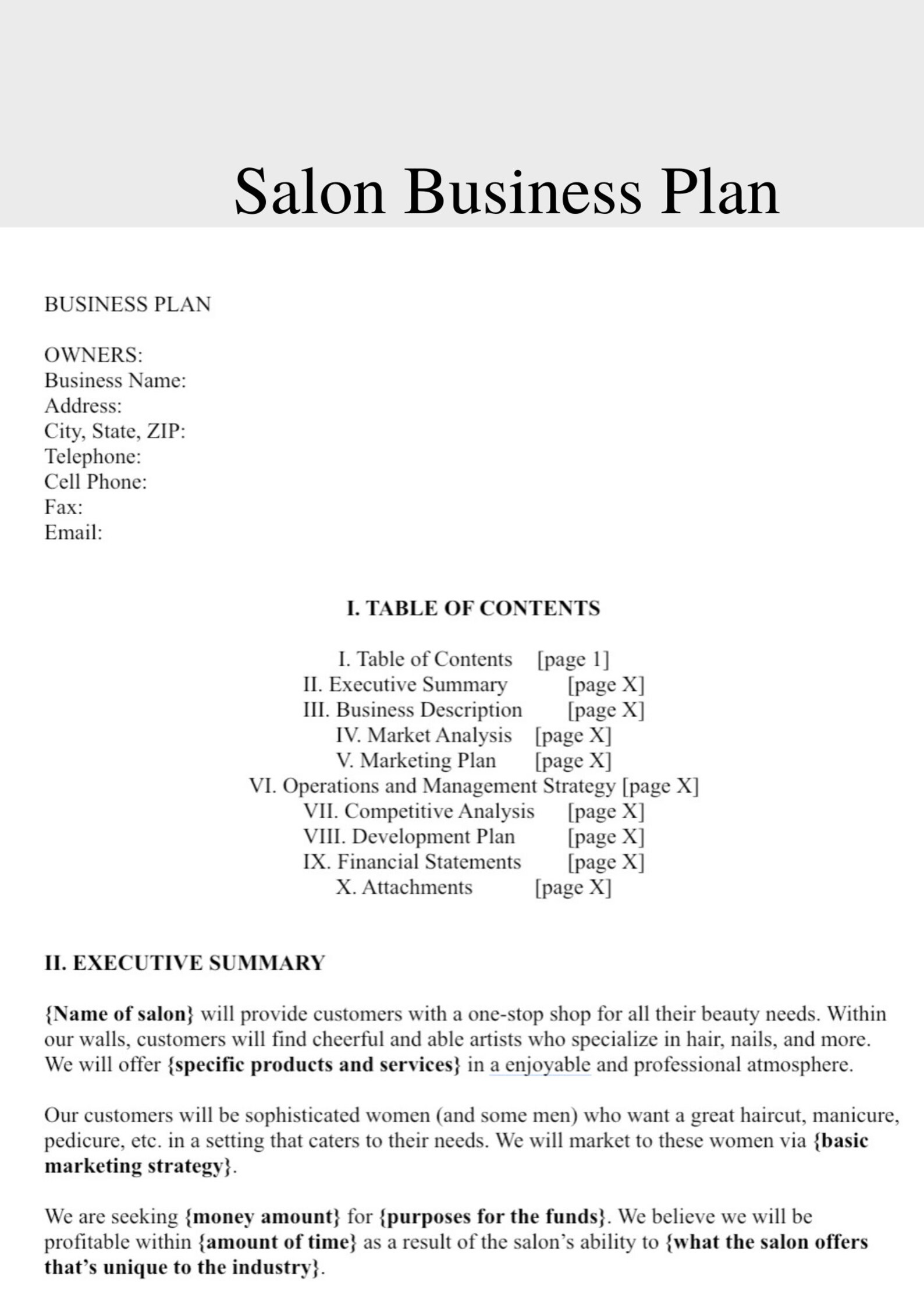 Salon Business Plan Hair Salon Business Plan Etsy