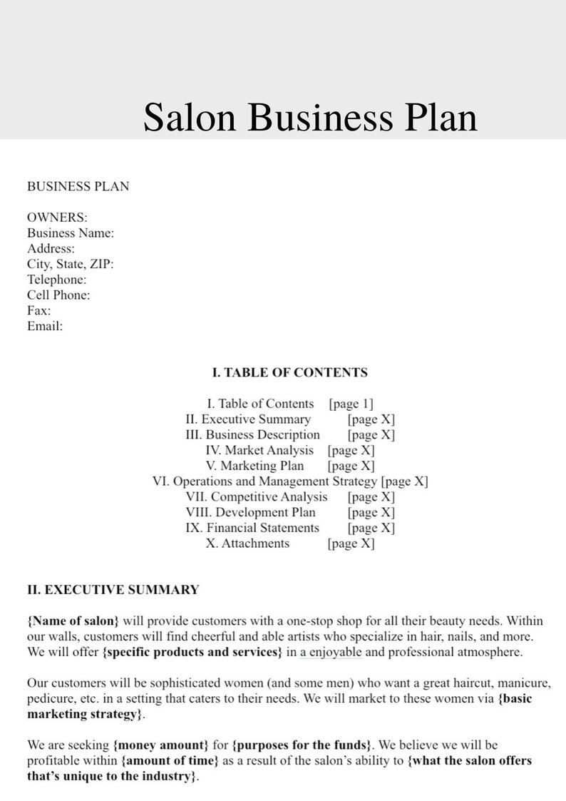 Salon Business Plan Hair Salon Business Plan Etsy