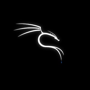 Puede incluir: Un logotipo de dragón estilizado blanco sobre un fondo negro. El dragón está mirando hacia la derecha y tiene una cola larga que termina en punta. Las alas del dragón están extendidas y su cabeza está ligeramente inclinada hacia un lado.