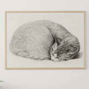 CAT Drawing 1800s Minimalistic Black and White Wall print Vintage Digital Print Printable Wall Art Sitting Cat