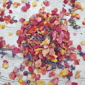 Coriandoli biodegradabili. Quasi petali di arcobaleno. Coriandoli naturali per tutte le occasioni. Petali secchi.  Coriandoli di nozze. Celebrazioni. Coriandoli.
