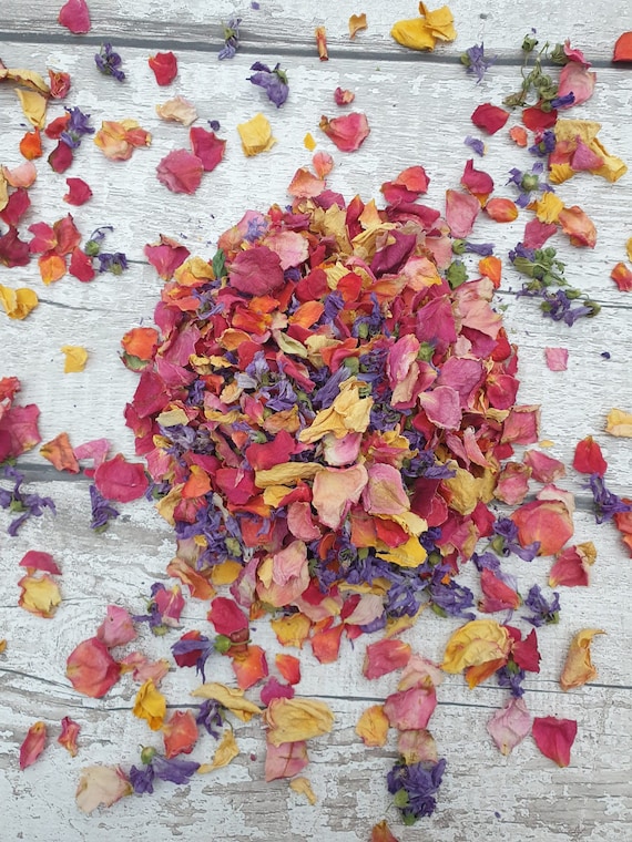 Biodegradable Confetti. Almost Rainbow Petals. Natural confetti for all occasions. Dried Petals.  Wedding confetti. Celebrations. Confetti.