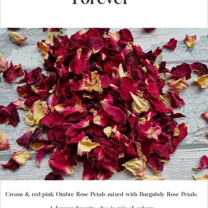 Biologisch abbaubares Konfetti. Für immer Blütenblätter. Natürliches Konfetti für alle Gelegenheiten. Getrocknete Blütenblätter. Hochzeit Konfetti. Blumen Konfetti.