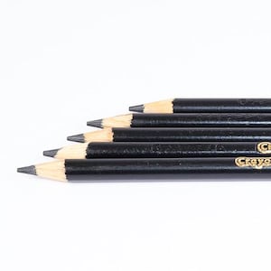 Black Crayola Colored Pencils - Set of 5 with Sharpener,  Coloring, Crafts, Scrapbooking, Drawing, Classroom, Art Projects, Sketching
