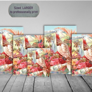 Florida Parrot Retro Art dimensionato per STAMPA PROFESSIONALE in formati di cornice popolari. Colore audace / Arredamento per la casa / Regalo / Decoupage / Download digitale