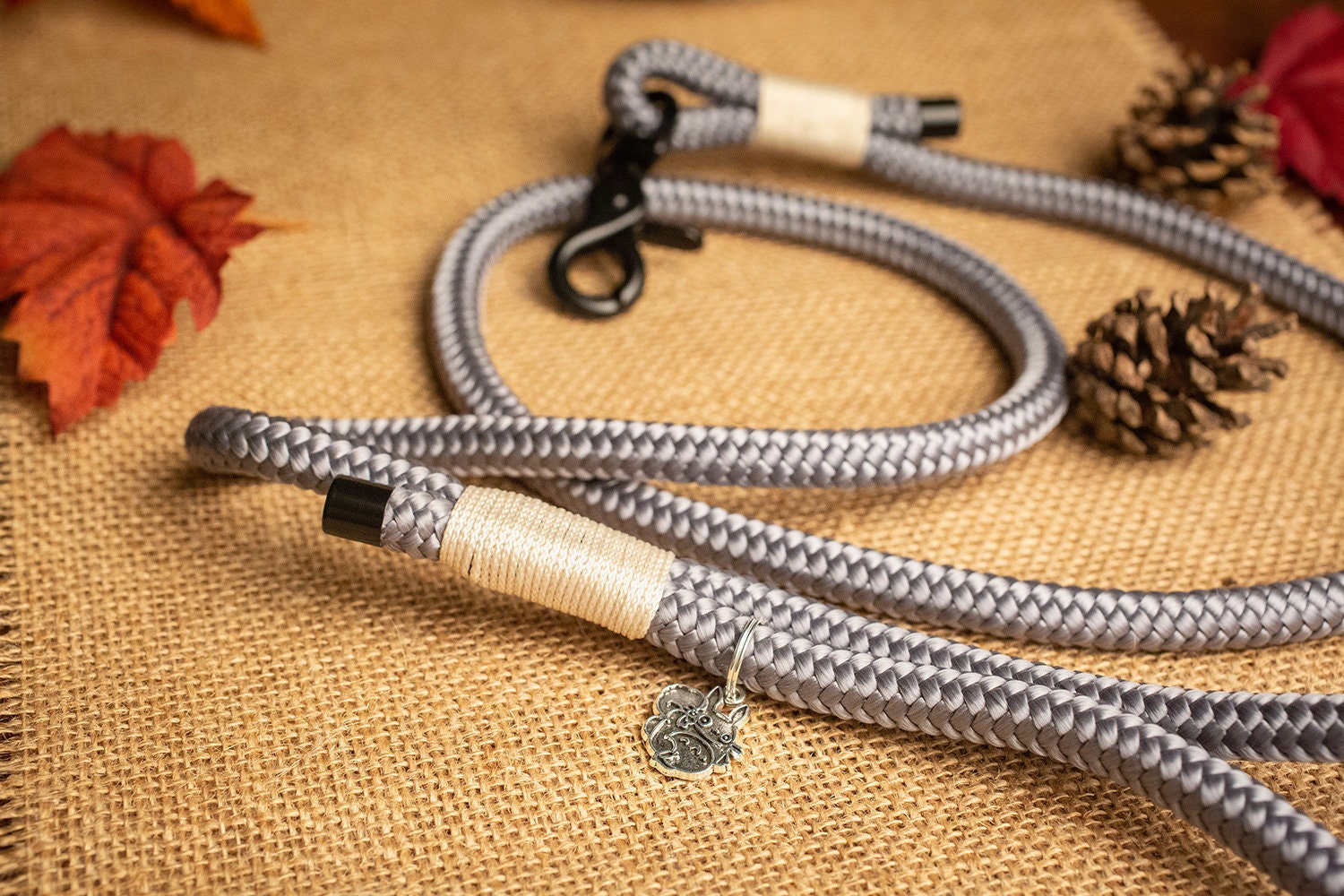 Totoro Manga Animé Miyazaki - Laisse Pour Chien en Paracorde 10mm