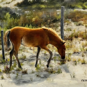 Original oil painting &quot;Figuring Out The World&quot; ~ Corolla NC Outer Banks Wild Horses ~ The New Foal.  Beach, ocean art ~ 8 x 10 Gift