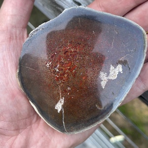 Gem Dino Bone