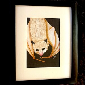 4”x6” Jilly the Bat (Framed)