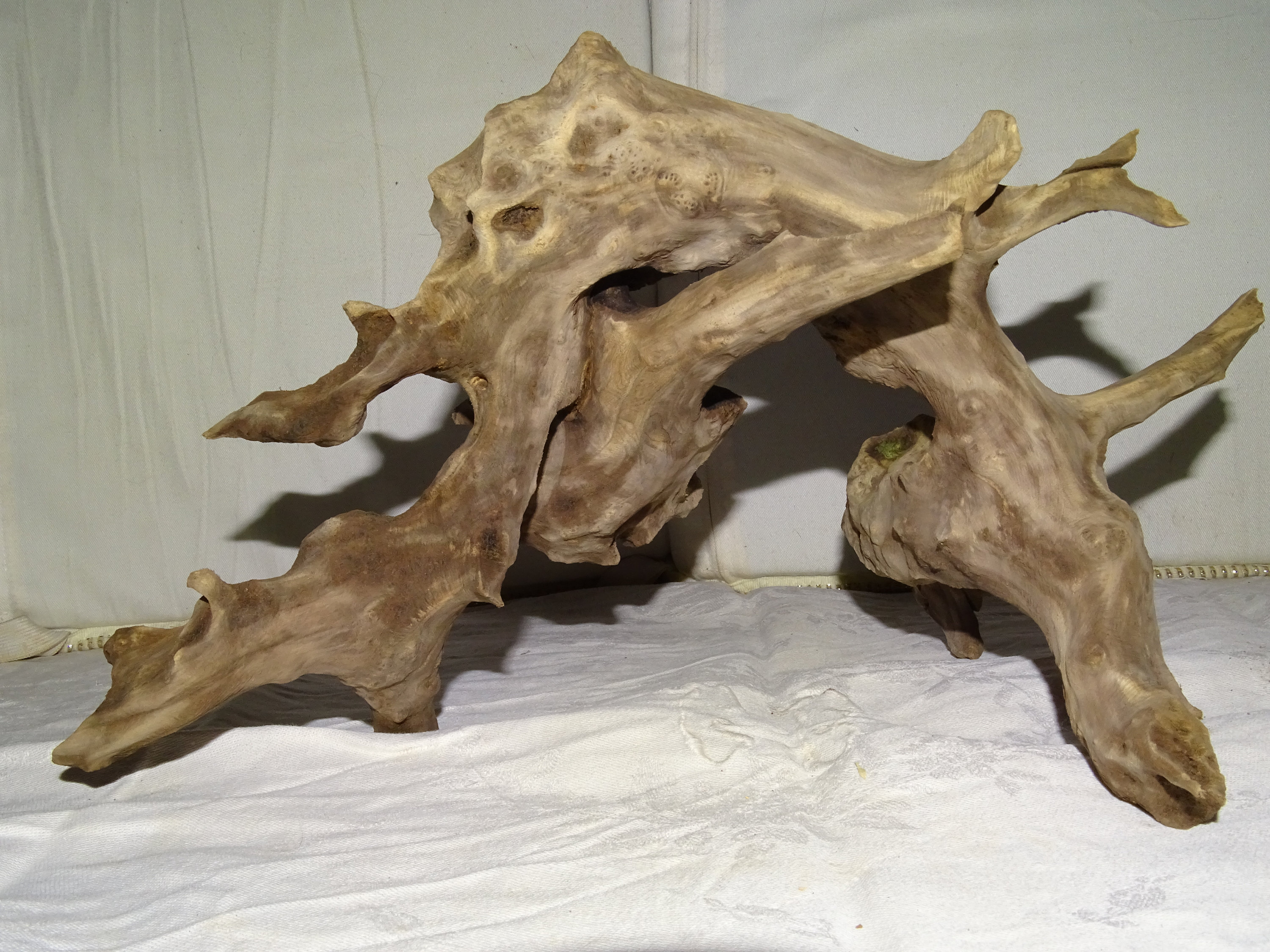 Bois Flotté Pour Aquarium