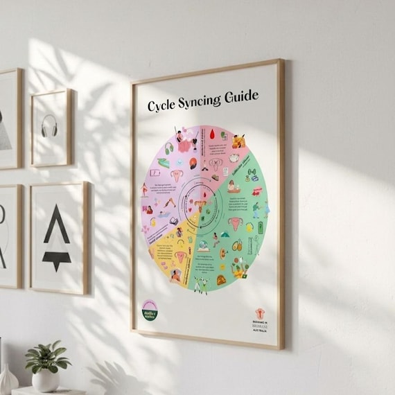 Cycle Syncing Infographic Print, Hormonal Health Poster (Digital Download - A3 Size)