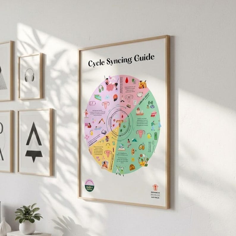 Cycle Dosing Infografik Print, Hormonelle Gesundheit Poster (Digitaler Download - A3 Größe) Bild 1