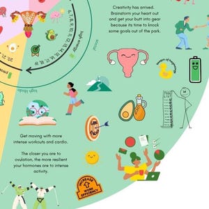 Cycle Dosing Infografik Print, Hormonelle Gesundheit Poster (Digitaler Download - A3 Größe) Bild 3