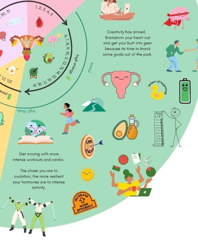 Cycle Dosing Infografik Print, Hormonelle Gesundheit Poster (Digitaler Download - A3 Größe) Bild 3