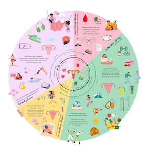Cycle Dosing Infografik Print, Hormonelle Gesundheit Poster (Digitaler Download - A3 Größe) Bild 2