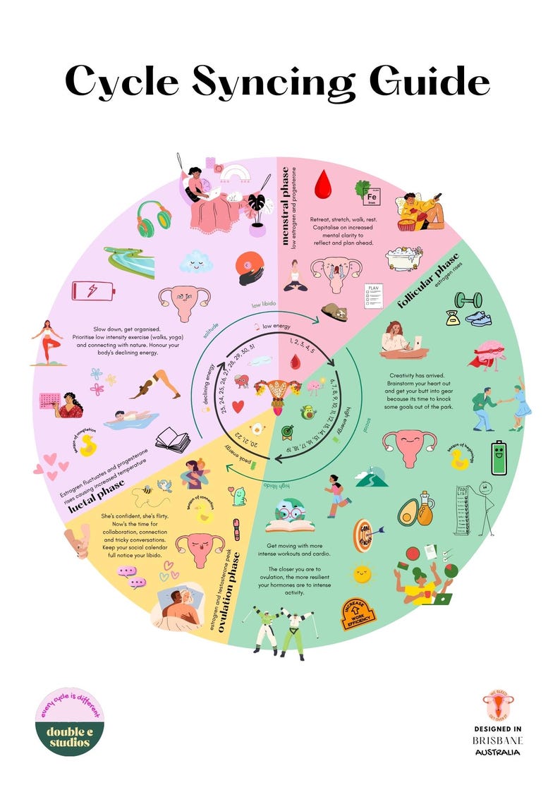 Cycle Dosing Infografik Print, Hormonelle Gesundheit Poster (Digitaler Download - A3 Größe) Bild 2