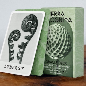 PRE-ORDER new edition Terra Incognita Oracle Deck - the Majestic Beauty of Plant Forms