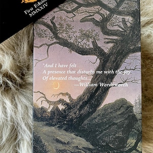 Pre-Order Sublime Thresholds Tarot Deck +eBook Guidebook ship Aug '26 image 3