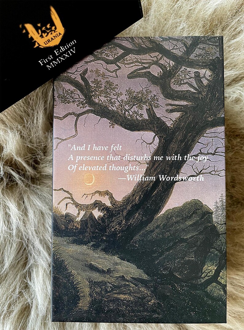 Pre-Order Sublime Thresholds Tarot Deck +eBook Guidebook ship Aug '26 image 3