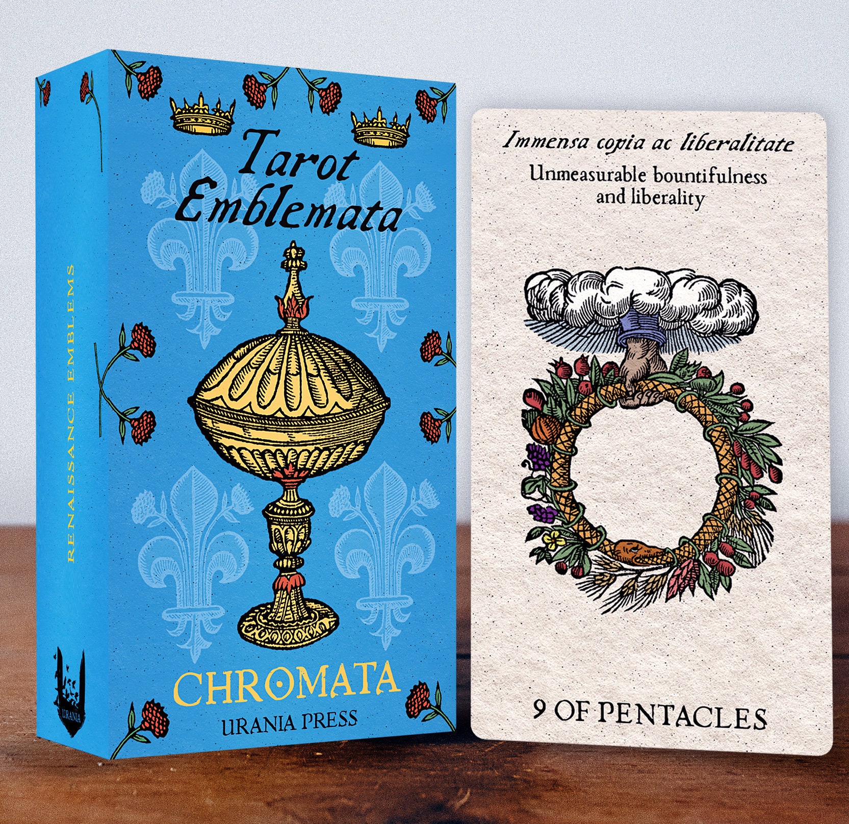 Renaissance Tarot Deck & Book Set