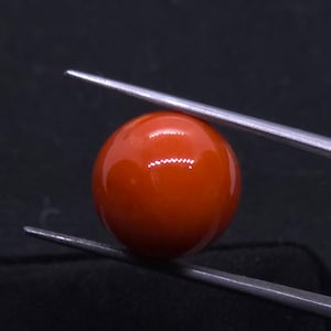 Japanese Aka Red Coral Bead: 13mm Loose Gemstone for Jewelry & Healing