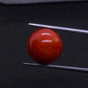 Japanese Aka Red Coral Bead: 12.6mm Round Gemstone for Jewelry