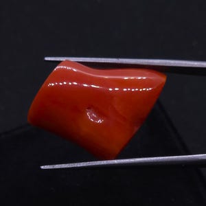Genuine Japanese Aka Deep Coral Rough Shape Cabochon  !!! 100%Natural Japanese Red Coral Uneven Cab -Genuine Red Coral Momo Coral