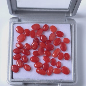 44 Stück Natürliche Blutrote Italienische Korallen Lose Cabochon Lot- Italienische Koralle, echte Koralle Edelsteine, Hinten Korallen Edelstein