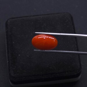 Cabochon sciolto di corallo rosso giapponese, noto anche come corallo rosso, pietra preziosa naturale non tinta, perle di corallo rosso raro, pietra curativa per la creazione di gioielli, corallo di forma ovale