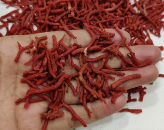 Red Coral Rough Branch Lot, Italian Unpolished Coral Beads for Jewelry Making