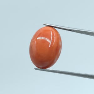 May include: A polished, oval-shaped coral gemstone, held by tweezers. The gemstone is a vibrant orange-red color with a white, etched design. The background is a soft, light blue.