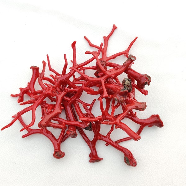 Lot de 100 carats - Récif de corail rouge méditerranéen - Branche en vrac italienne - Bâtonnet poli brillant d'arbre - Pierres précieuses naturelles en vrac - Branche en vrac - Corail méditerranéen -