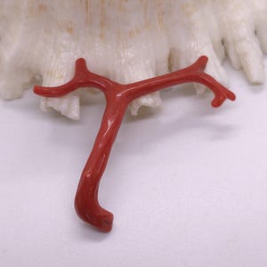 11.10 カート 本物の赤珊瑚礁 - ヴィンテージアンティークシェイプの赤珊瑚の枝 - 赤珊瑚の木 光沢のある磨き枝スティック ジュエリー作りに - M314