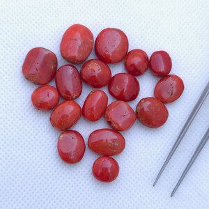 17-delig mediterraan rood koraal, diepzeerode natuurlijke kleur edelsteen, losse echte koraal cabochon voor het maken van sieraden: