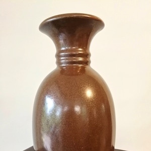 Peut inclure: Un vase en céramique brun avec une large ouverture et un corps arrondi. Le vase a une finition brillante et une texture subtile.
