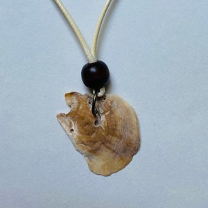 Shell Necklace