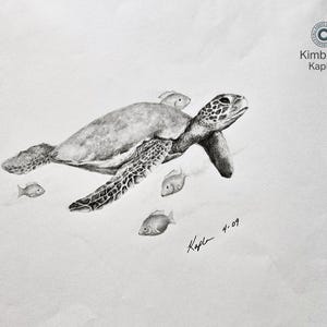 May include: A pencil drawing of a sea turtle swimming with several small fish. The turtle has a patterned shell and flippers. The drawing is signed "Kaplan 4-09" in the lower right corner. The artist's copyright is in the upper right corner.