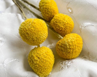 Gold Craspedia | By The Stem | Yellow Billy Buttons | Dried | Preserved | Flowers | DIY | Boho Decor