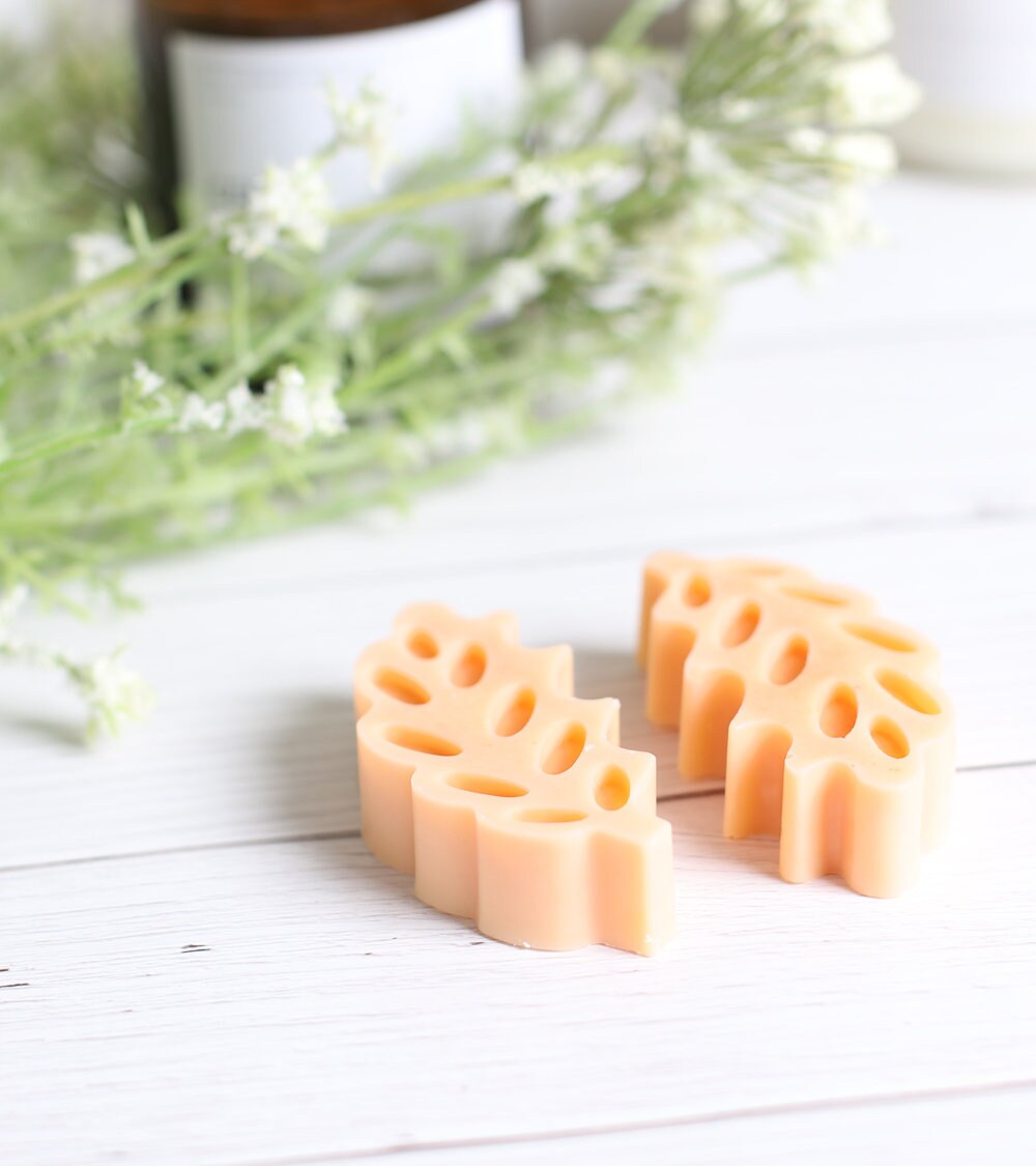 Fondant Mirabelle - L'épi de Blé