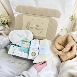 Exam survival kit - Good luck gift hamper - Good Luck Exam Box - You Got This Gift - Exam Care Package