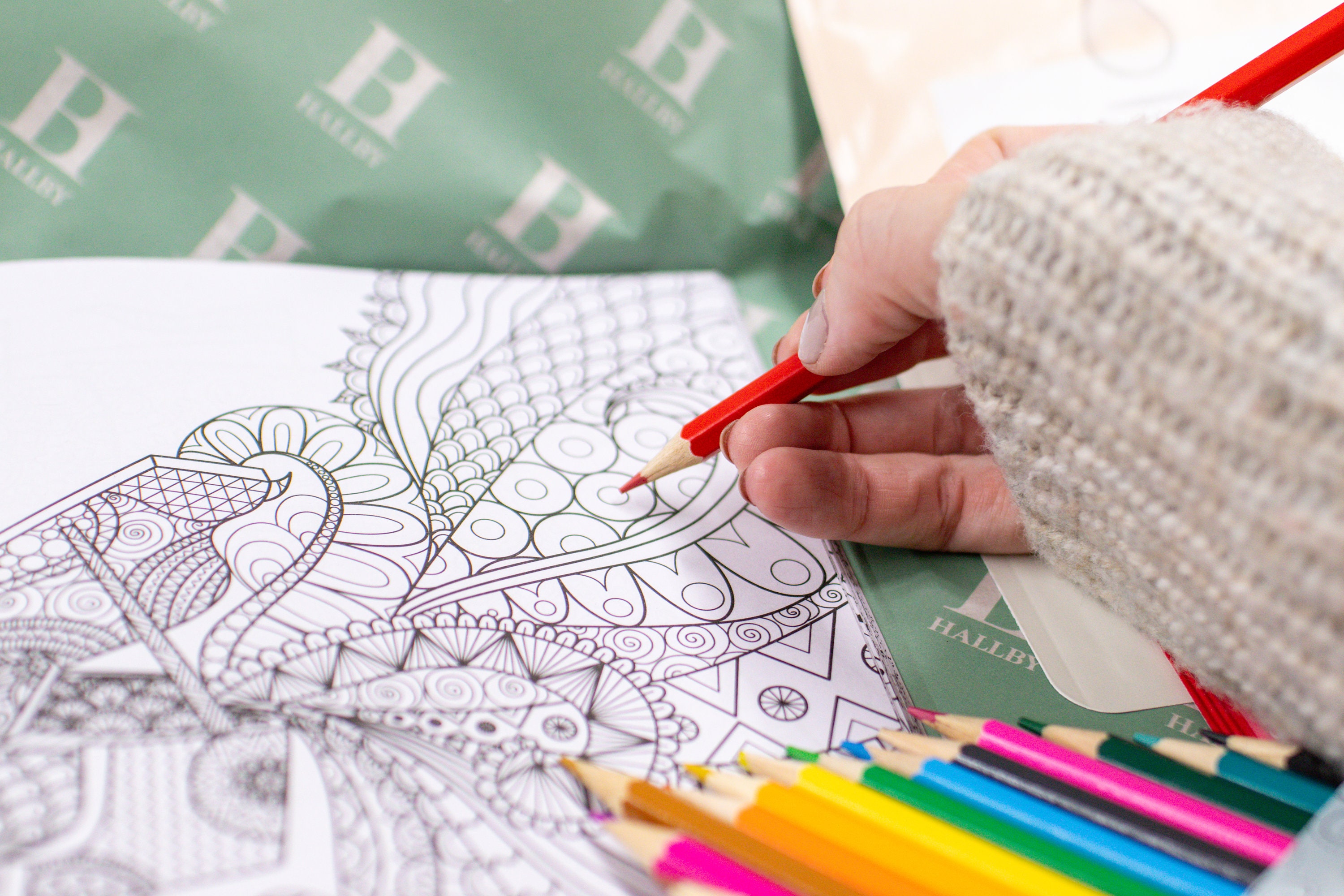 Personalized Adult Coloring Book & Pencil Set