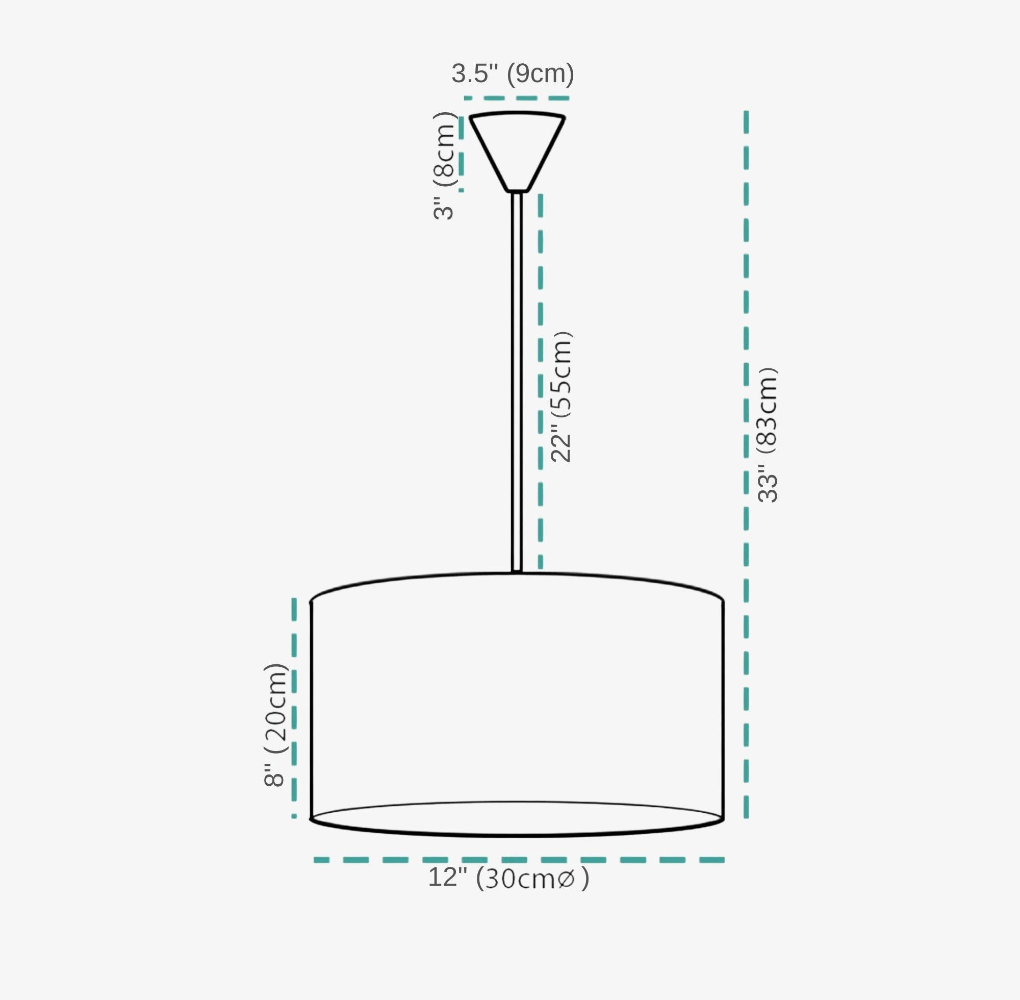 Personalized Nursery Safari Pendant Light Lion Fixture Etsy