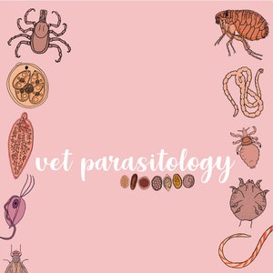 Vet Parasitology Bundle