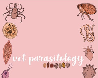 Veterinär-Parasitologie-Paket