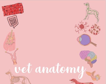 Pacchetto di anatomia veterinaria