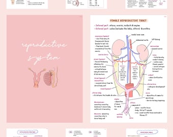 Vet Anatomy (Reproductive System)