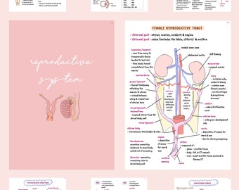 May include: A collection of educational diagrams on a pink background, illustrating the female reproductive system, embryonic development, and related anatomical structures. The diagrams are labeled with detailed text and colorful illustrations.