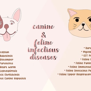Infectieziekten bij honden en katten